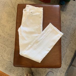 LOFT Modern Straight Jeans